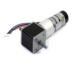 IG-32RGM 01TYPE (12V) with 2channel Encoder - DS