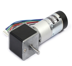 IG-32RGM 11TYPE (12V) with 2channel Encoder - DS